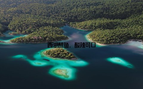 西湖醋鱼, 酸辣可口