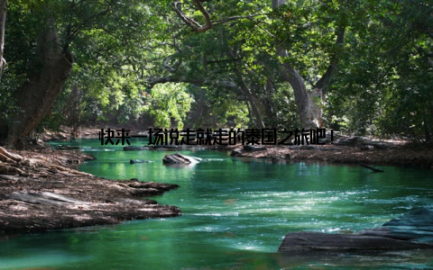 快来一场说走就走的泰国之旅吧!