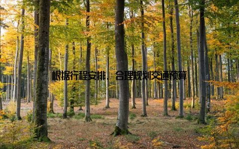 根据行程安排, 合理规划交通预算