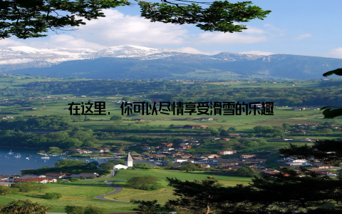 在这里, 你可以尽情享受滑雪的乐趣