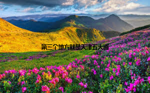 第三个地方就是天津五大道