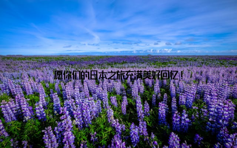 愿你们的日本之旅充满美好回忆!