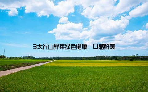3太行山野菜绿色健康, 口感鲜美