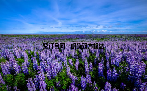 签订合同, 明确双方权益
