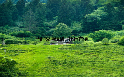 当地交通便利, 出行方便