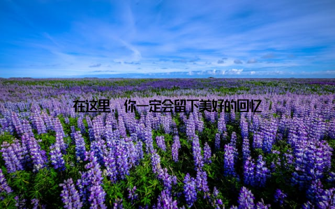 在这里, 你一定会留下美好的回忆