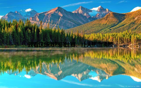 观看这场激烈的比赛, 让人热血沸腾