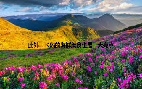 此外, 长岛的海鲜美食也是一大亮点