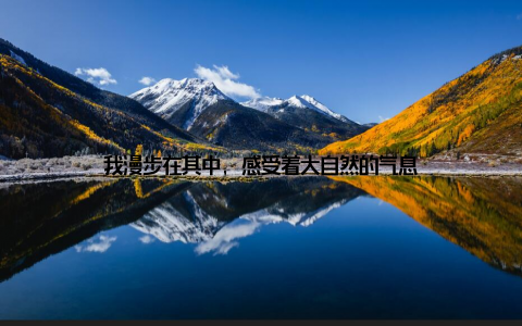 我漫步在其中, 感受着大自然的气息