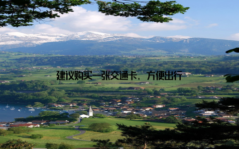 建议购买一张交通卡, 方便出行