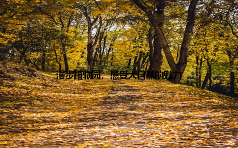 漫步植物园, 感受大自然的魅力