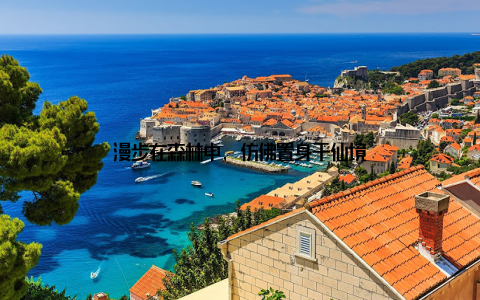 漫步在森林中, 仿佛置身于仙境