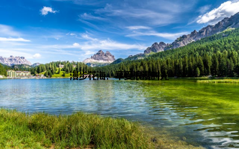 漫步花海, 享受浪漫时光