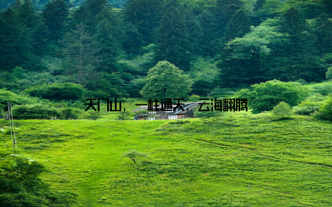 天门山, 一柱通天, 云海翻腾