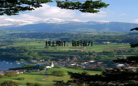 线上预订, 省时省力