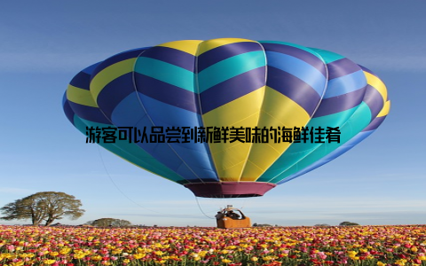 游客可以品尝到新鲜美味的海鲜佳肴