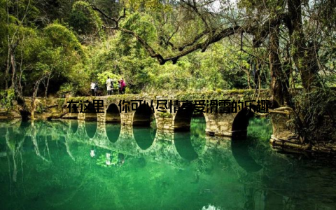 在这里, 你可以尽情享受滑雪的乐趣