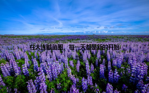 在大连鲅鱼圈, 每一天都是新的开始