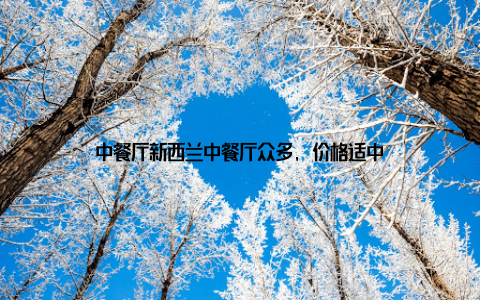 中餐厅新西兰中餐厅众多, 价格适中