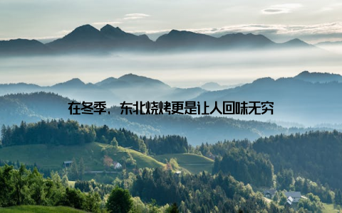 在冬季, 东北烧烤更是让人回味无穷