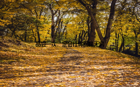 品尝一次, 定会让你回味无穷