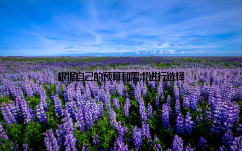 根据自己的预算和需求进行选择