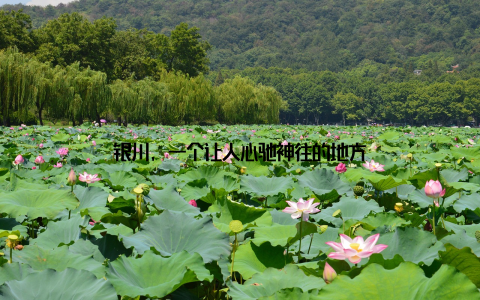 银川, 一个让人心驰神往的地方