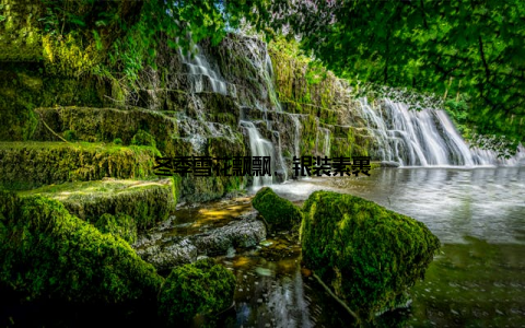 冬季雪花飘飘, 银装素裹