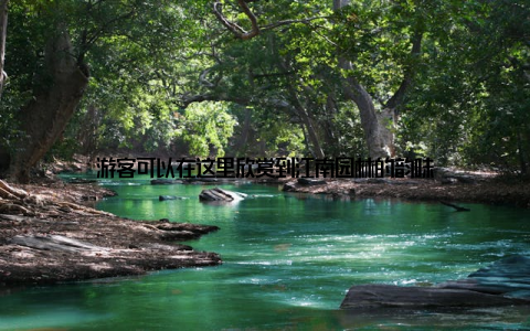 游客可以在这里欣赏到江南园林的韵味