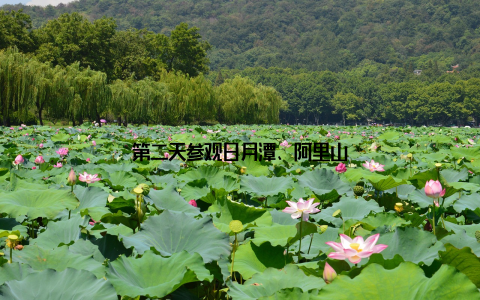 第二天参观日月潭、阿里山