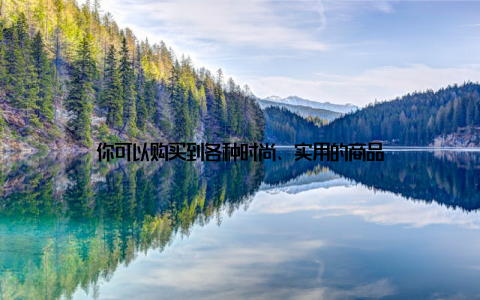 你可以购买到各种时尚、实用的商品