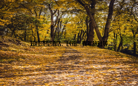 如经济型酒店、民宿、青年旅社等