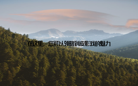 在这里, 您可以领略到皮影戏的魅力