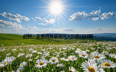 此时, 正是观赏草原风光的最佳时期