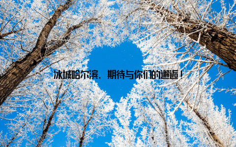 冰城哈尔滨, 期待与你们的邂逅!