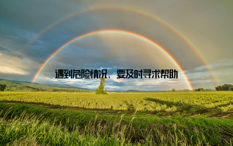 遇到危险情况, 要及时寻求帮助