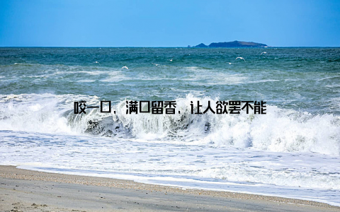 咬一口, 满口留香, 让人欲罢不能