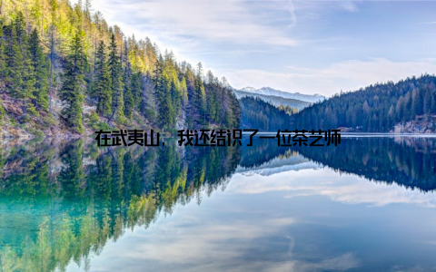 在武夷山, 我还结识了一位茶艺师